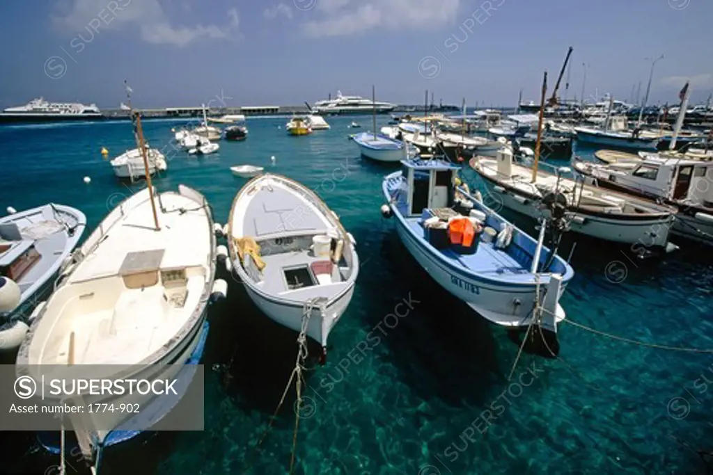 Fishing boats at a harbor, Marina Grande, Capri, Campania, Italy