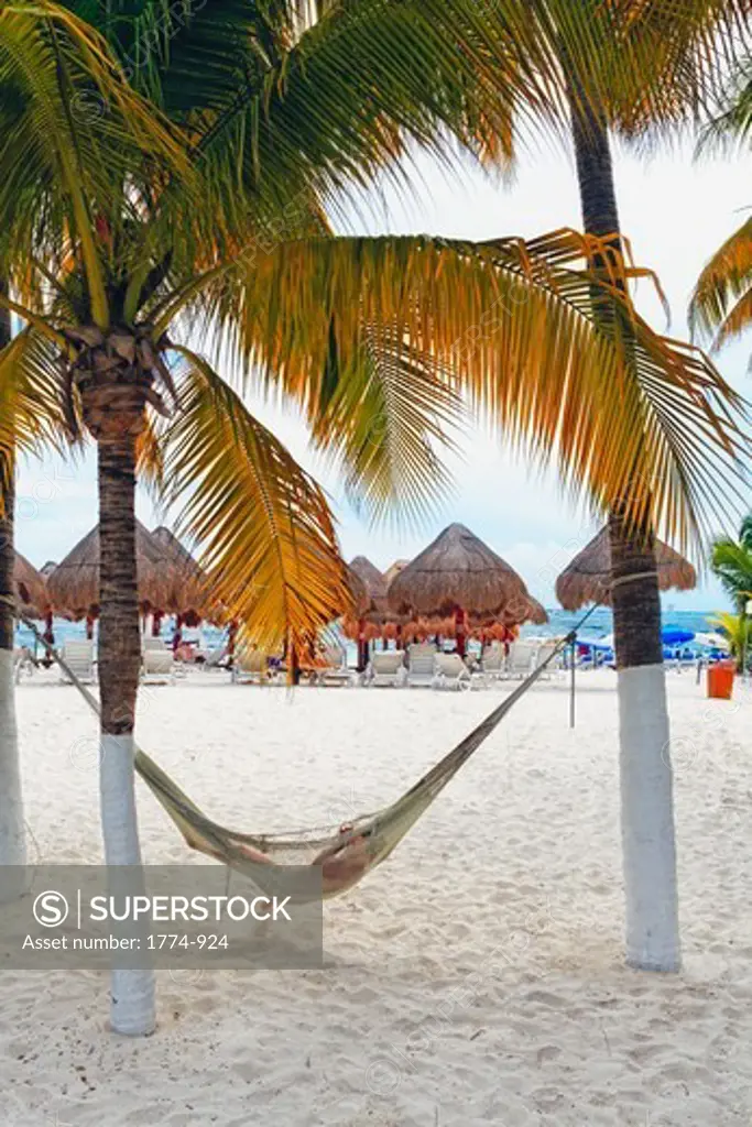 Beach View with a Hammock and Palapas, North Beach, Isla Mujeres, Quintana Roo, Yucatan Peninsula, Mexico