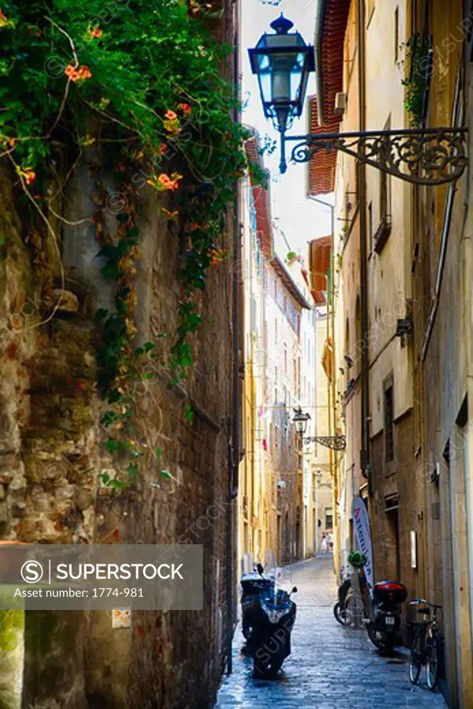 Italy, Tuscany, Florence, View of alley