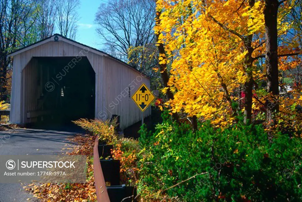 Covered bridge in a forest, Green Sergeant's Covered Bridge, Stockton, New Jersey, USA