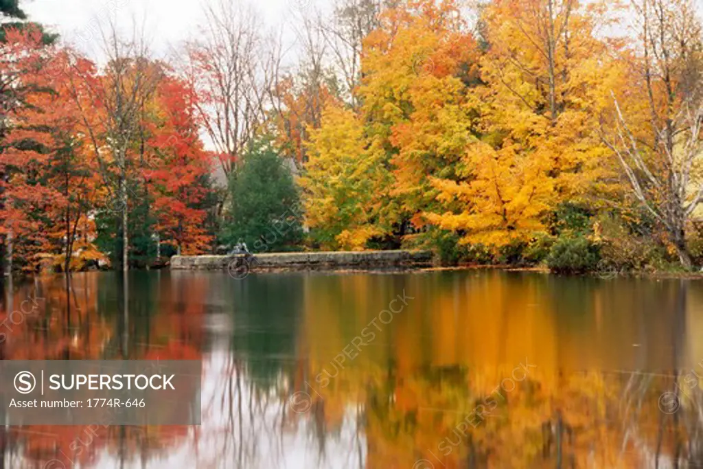 USA, New Hampshire, Fall trees surrounding Ossipee Lake