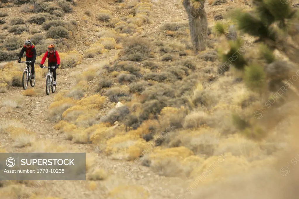 Two mountain bikers near Death Valley, California