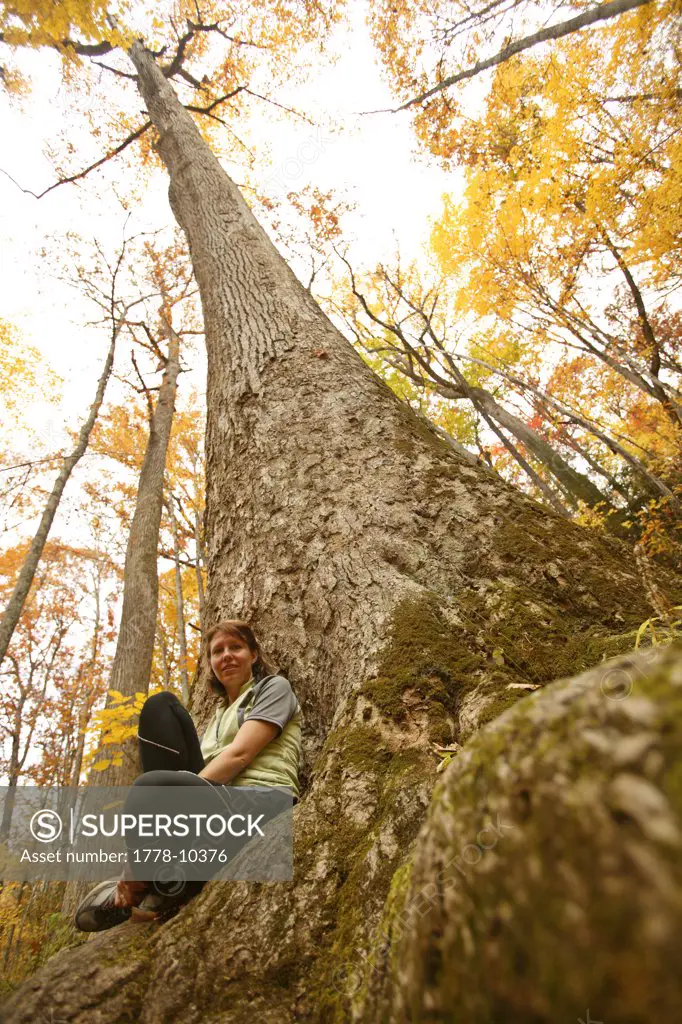 Female hiker sitting at the base of an old-growth poplar tree on the Boogerman Loop trail in the Cataloochee area of the Great S