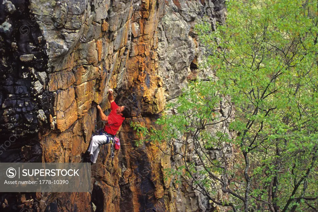 Rock climbing at Horseshoe Canyon Ranch in Arkansas