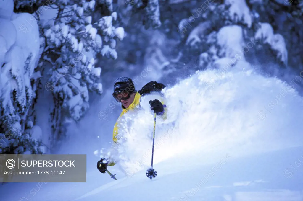 A man makes powder turns while powder skiing in deep fresh snow in the backcountry