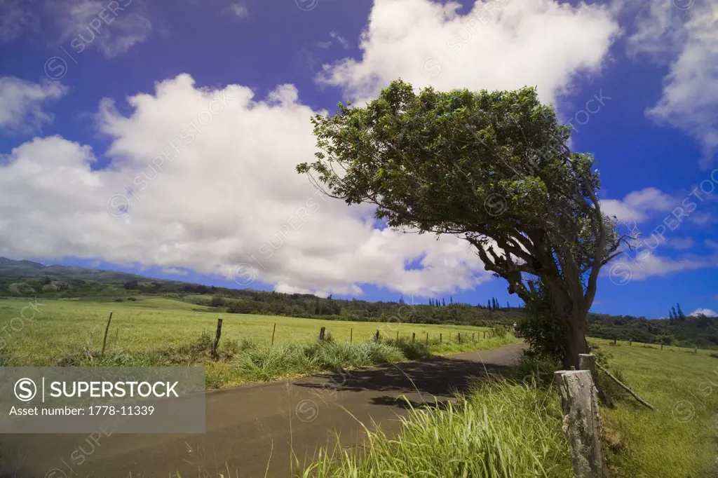 A view down the Kamehameha Highway on the Pacific island of Molokai, Hawaii