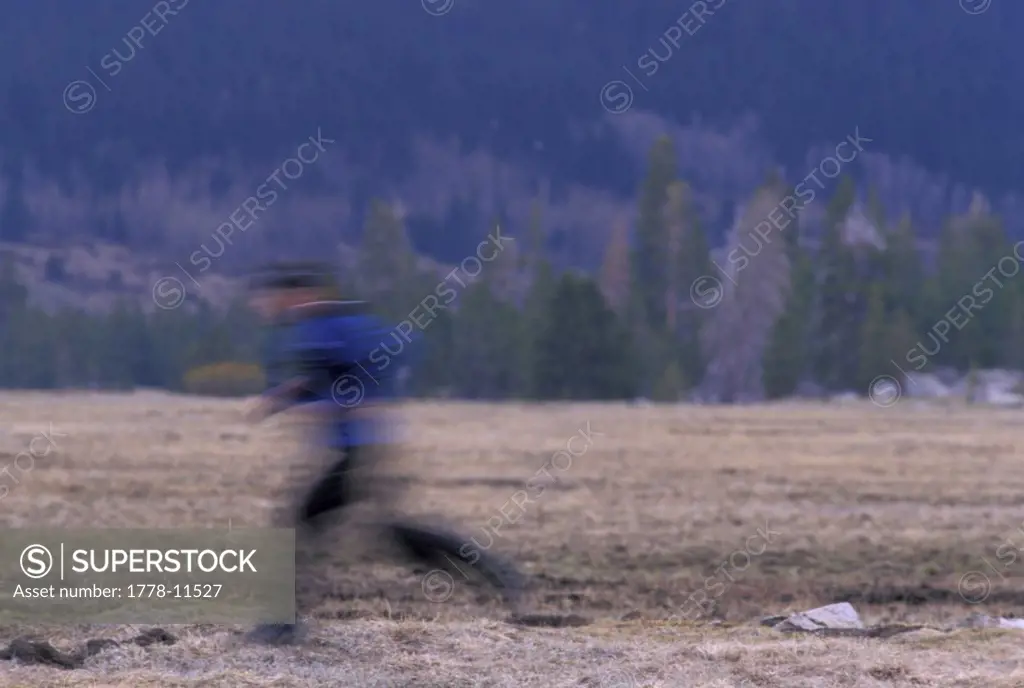 A man running in an alpine meadow