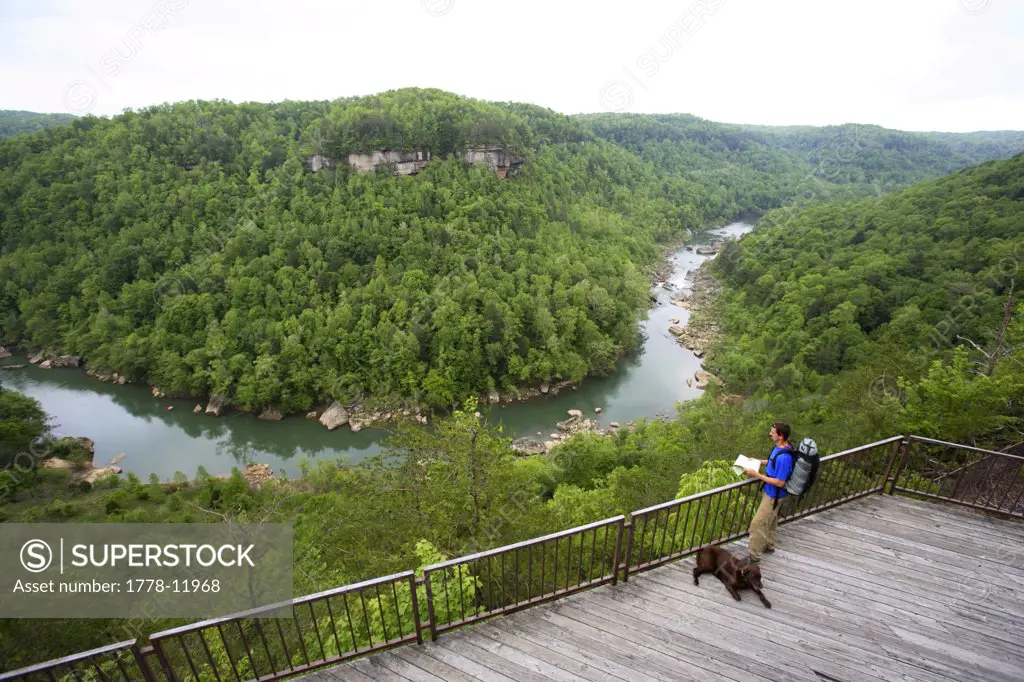 Male with dog consults a map at an overlook at Blue Heron in the Big South Fork National River along the TN-KY border