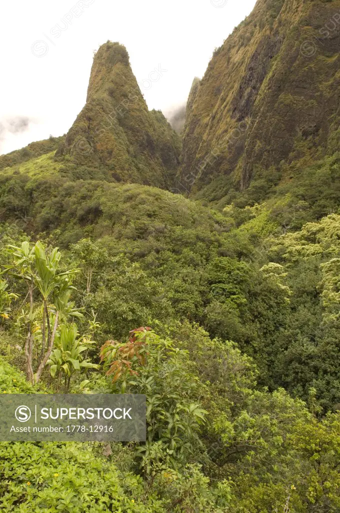 Misty clouds and the Iao Needle in Iao Valley State Park