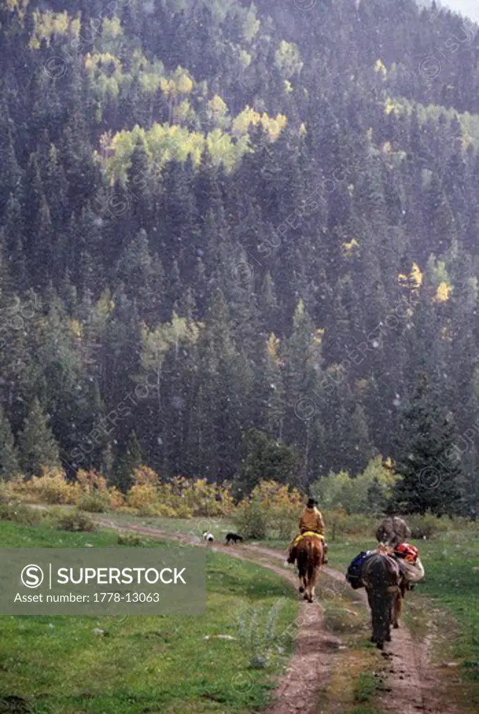 Man & Woman riding horses in snowstorm, Uncomphagre National Forest, Colorado
