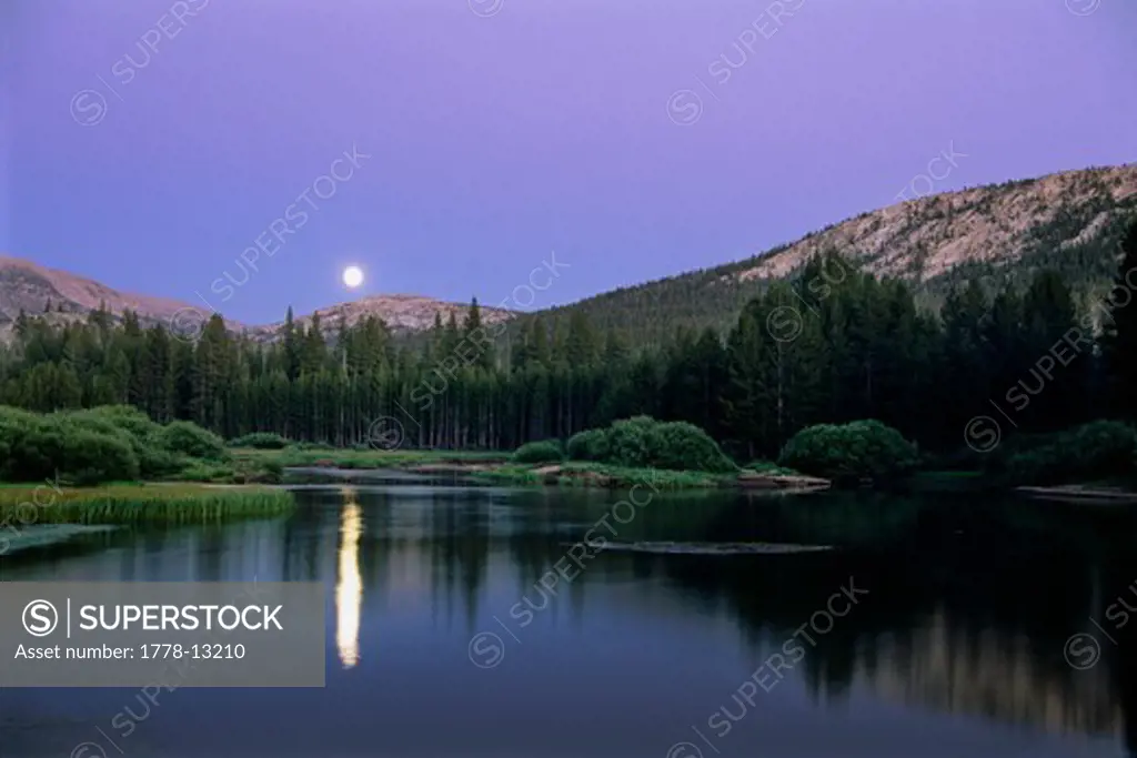 Landscape, Full Moon rising in Tuolumne Meadows, Yosemite