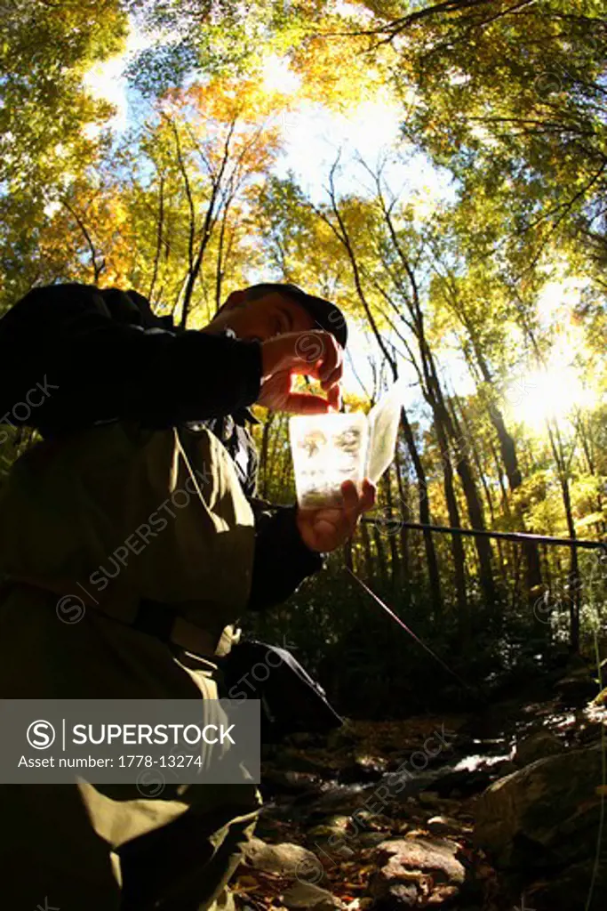 Male fly fisherman sorts through his flies under a canopy of fall colors on Shining Creek in the Pisgah National Forest near Way