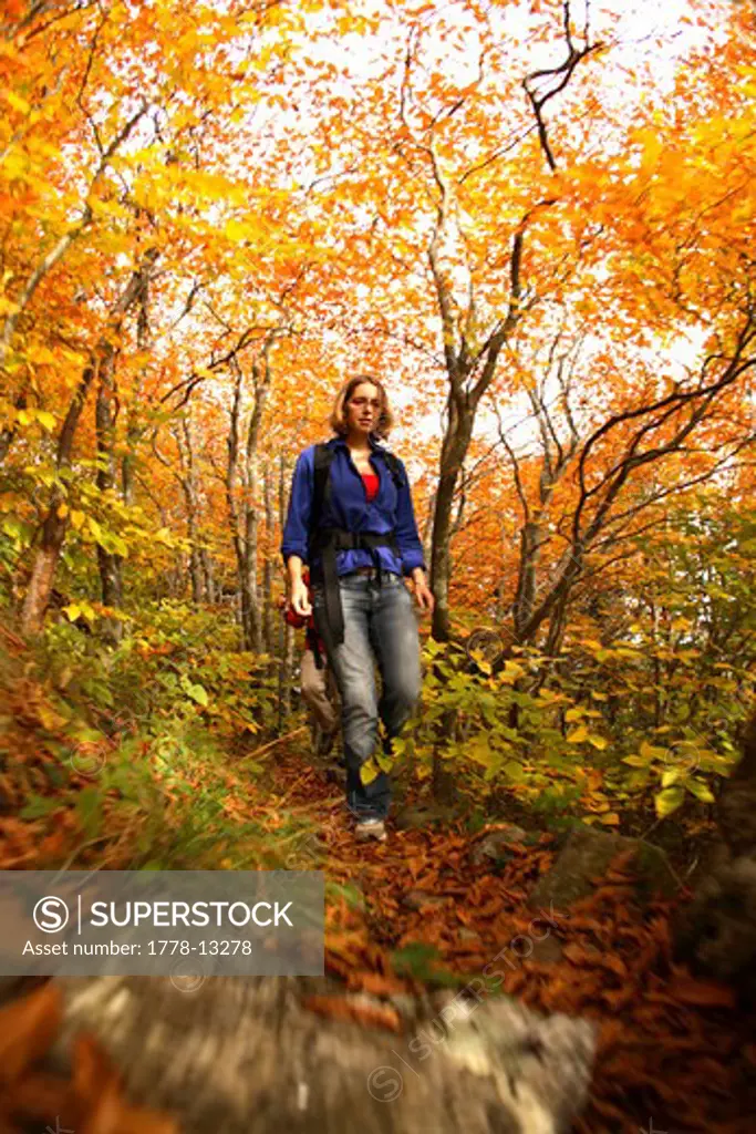 Motion-blur image of young female hiking the Mountains-to-Sea trail under fall colors near Mt Mitchell north of Asheville, NC