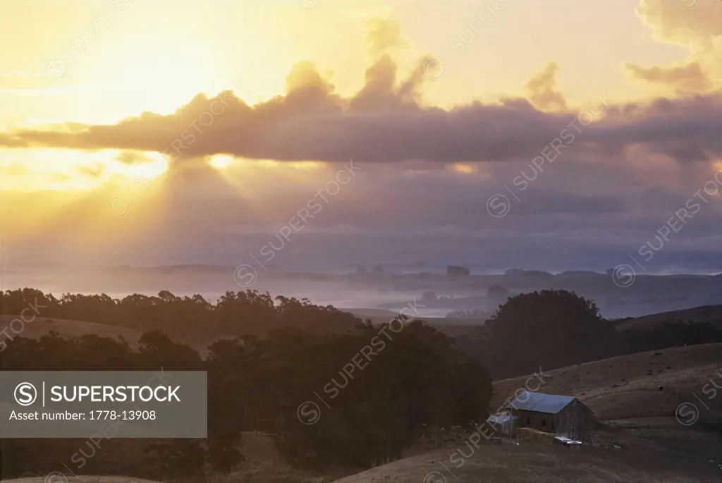 God beams over sheep farm in Sonoma County, California