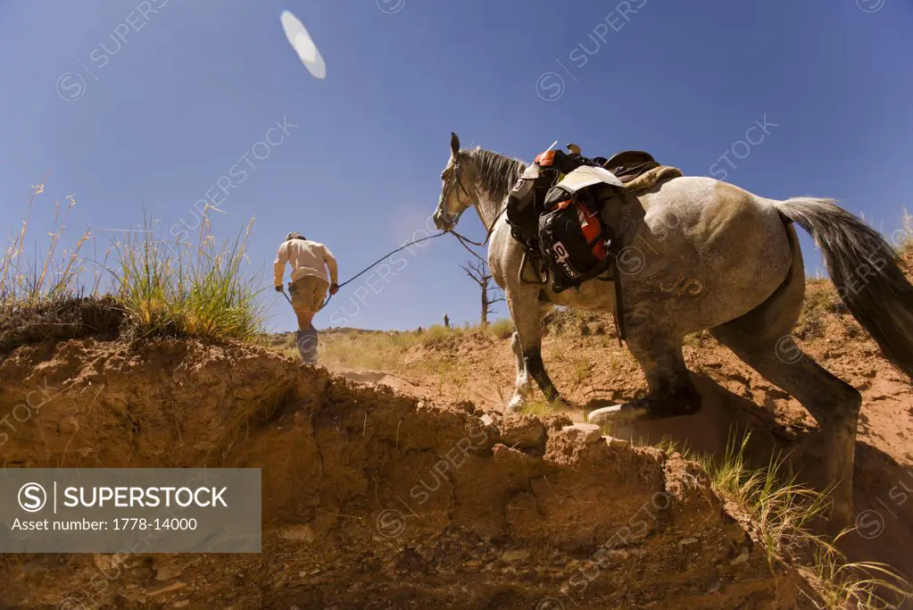 Adventure racer leading a horse in a race in Moab, Utah
