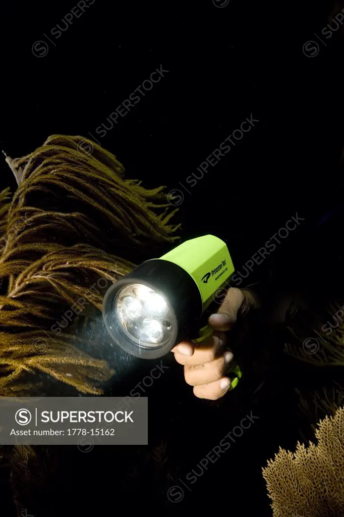 Scuba diver holds underwater light, Key Largo, Florida
