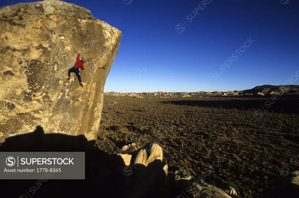 Rock Climber Joshua Tree National Park, California