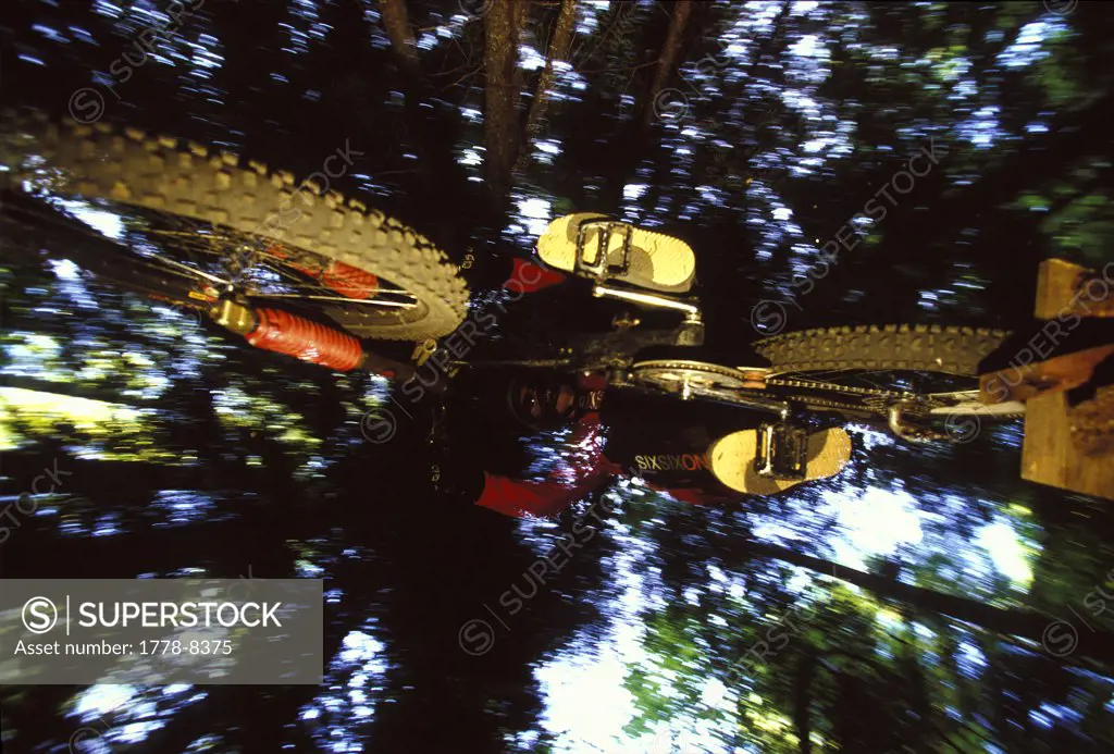 Man jumping mountain bike in the forest in Rossland, British Columbia, Canada (flash effects)