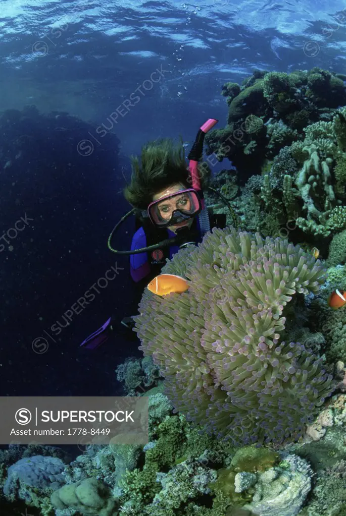 Female scuba diver and clownfish, Fiji