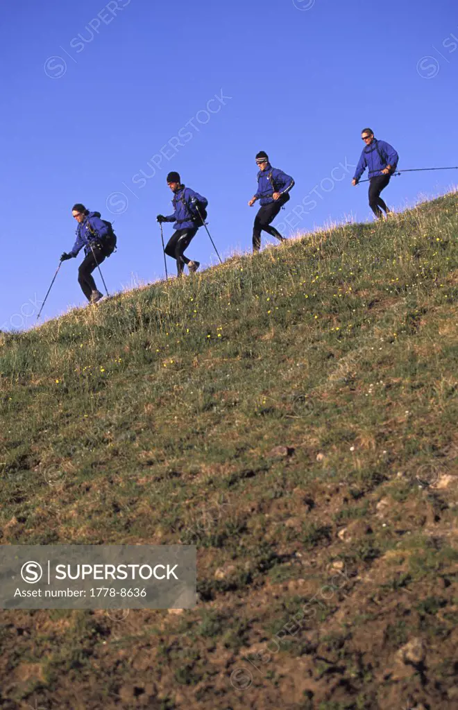 Group of four adults, members of an adventure racing team, hike down hill in the mountains above Ouray, Colorado