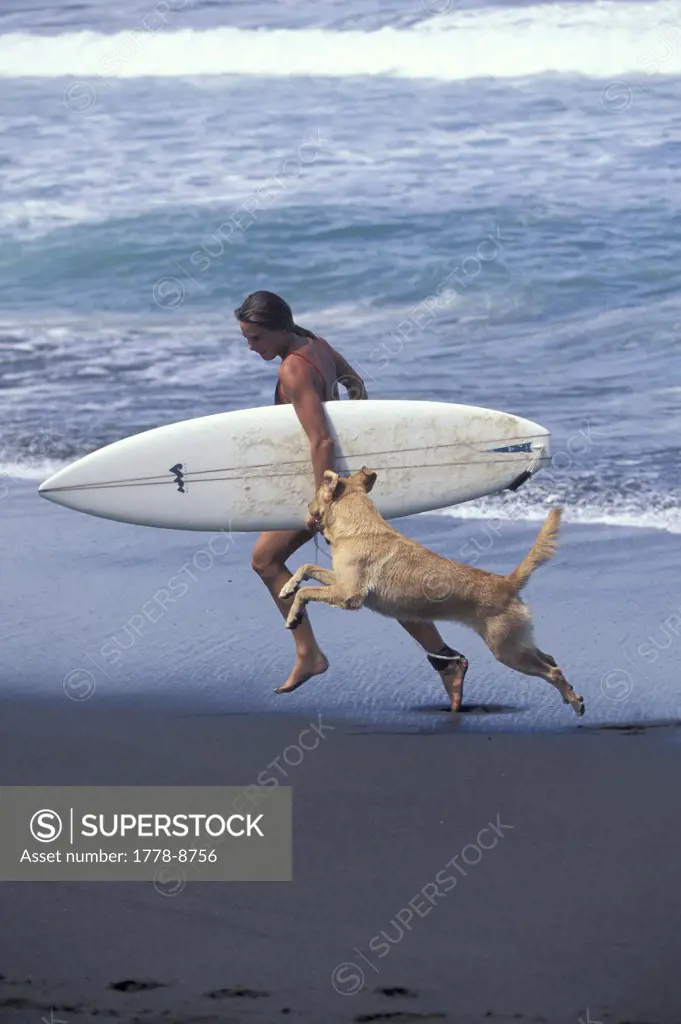 Woman surfer and dog running, Costa Rica