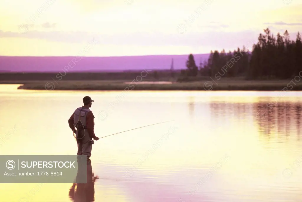 A fly-fisherman looks for feeding trout at sunrise