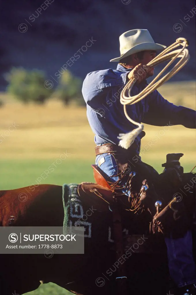 Cowboy with lariat riding horse, Wyoming