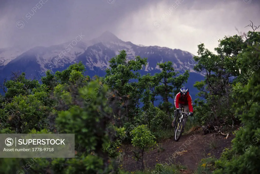 Mountain biker riding in Colorado