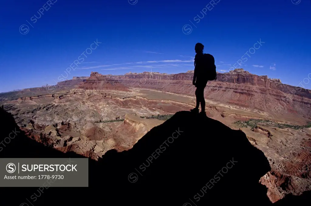 Silhouetted woman standing on rock looking out over desert