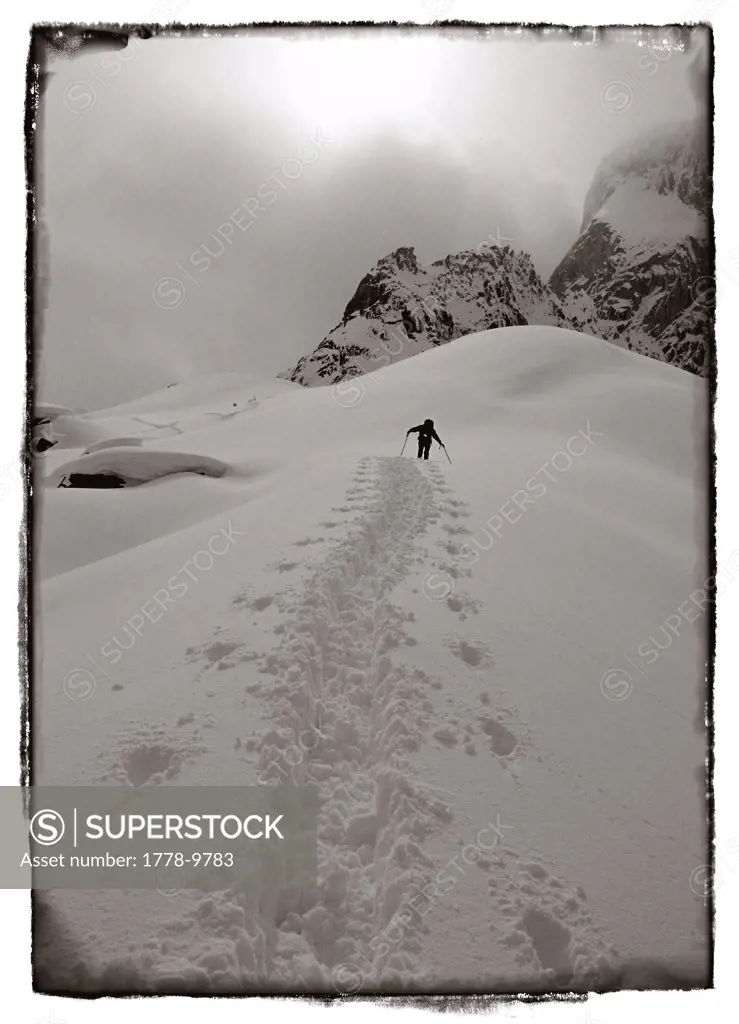 Backcountry skier sti-tours up slope in Bugaboo Glacier Provincial Park, BC, Canada (sepia-toned black & white with edge effect