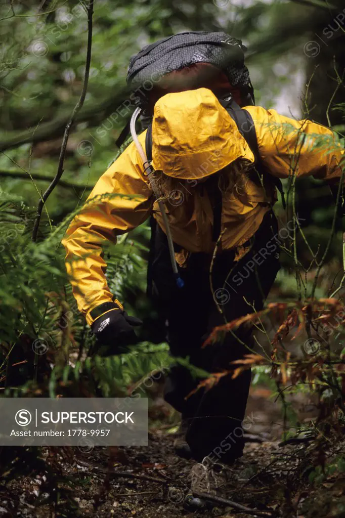 Woman hiking in the rain Port Coquitlam, British Columbia