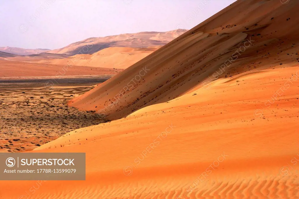 The Dubai Desert, Dubai, United Arab Emirates, Middle East