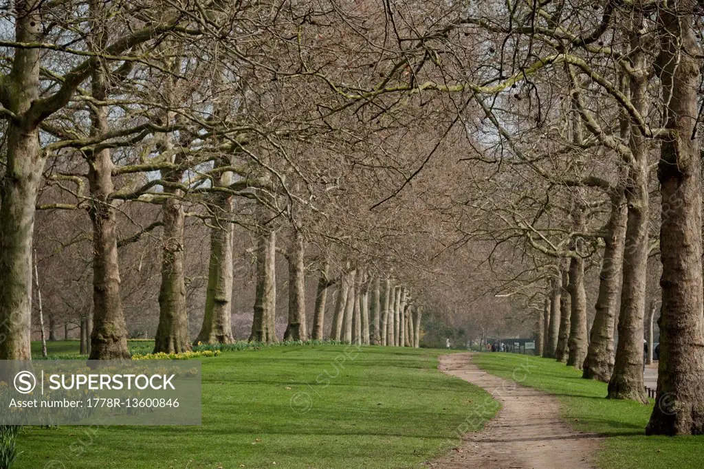 View of Hyde Park in London
