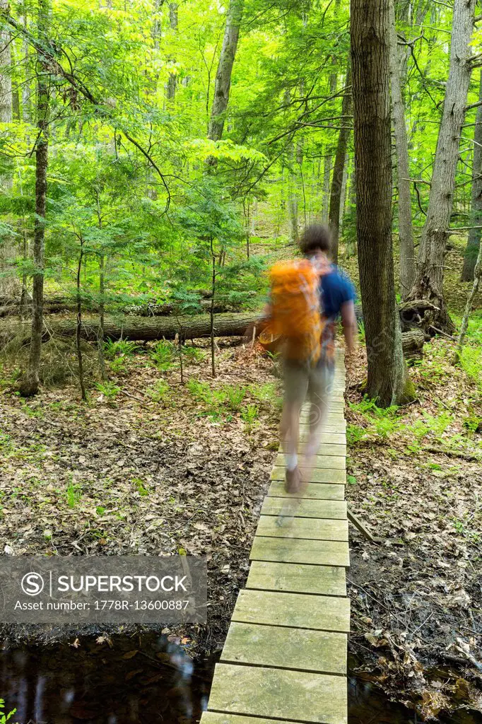 A Hiker Crossing A Stream On A Wooden Bridge In A Forest