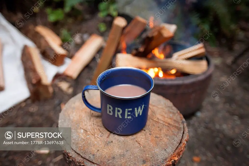 High Angle View Of A Cup Of Hot Chocolate And A Campfire