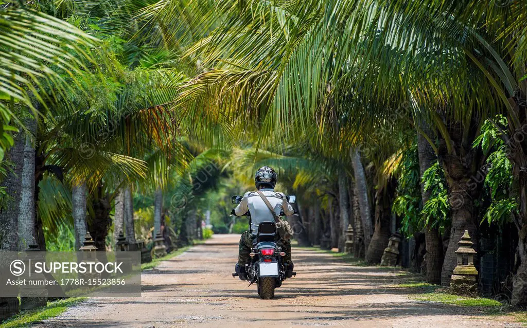 Rear view shot of a man riding a motorcycle down a road with lots of palm trees on sides, Bangkok, Thailand