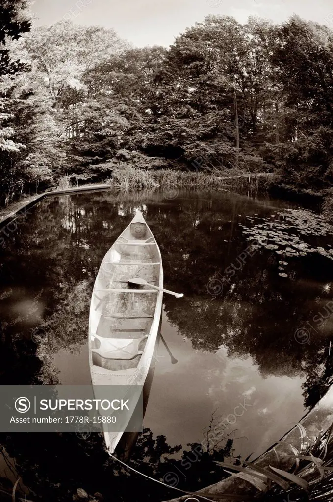 A canoe and oar floating in a pond on summer day with trees reflecting in the water.