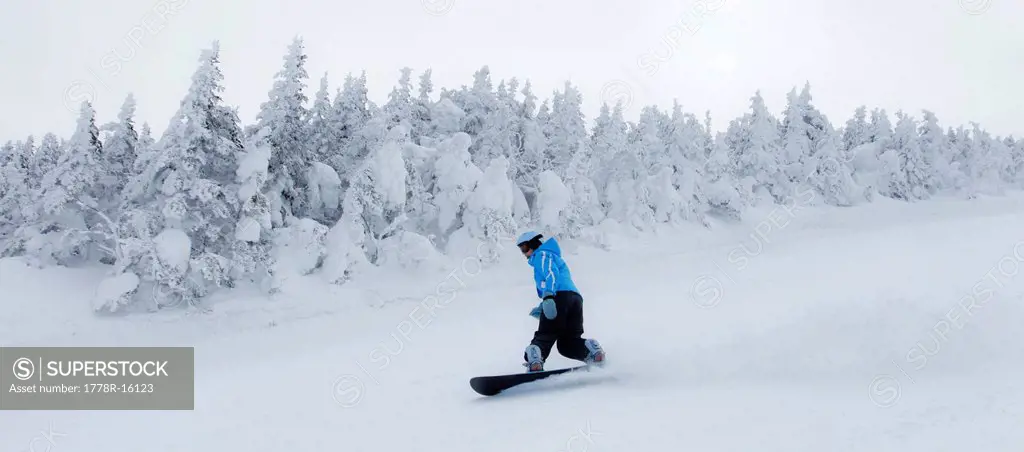 A female snowboarder carves in fresh snow in New Hampshire.