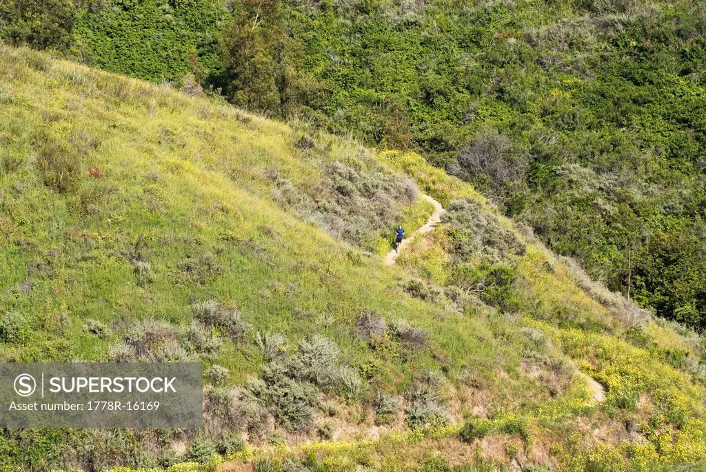 A young man trail runs along a trail lined by yellow flowers in Ventura, California.