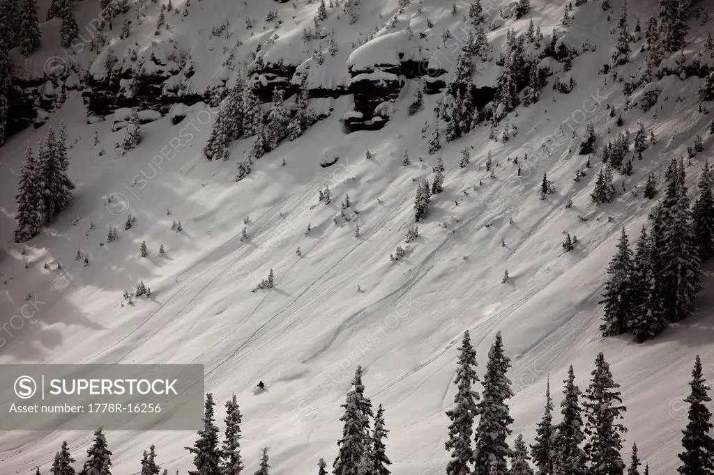 A lone skier gets first tracks in deep powder in Colorado.