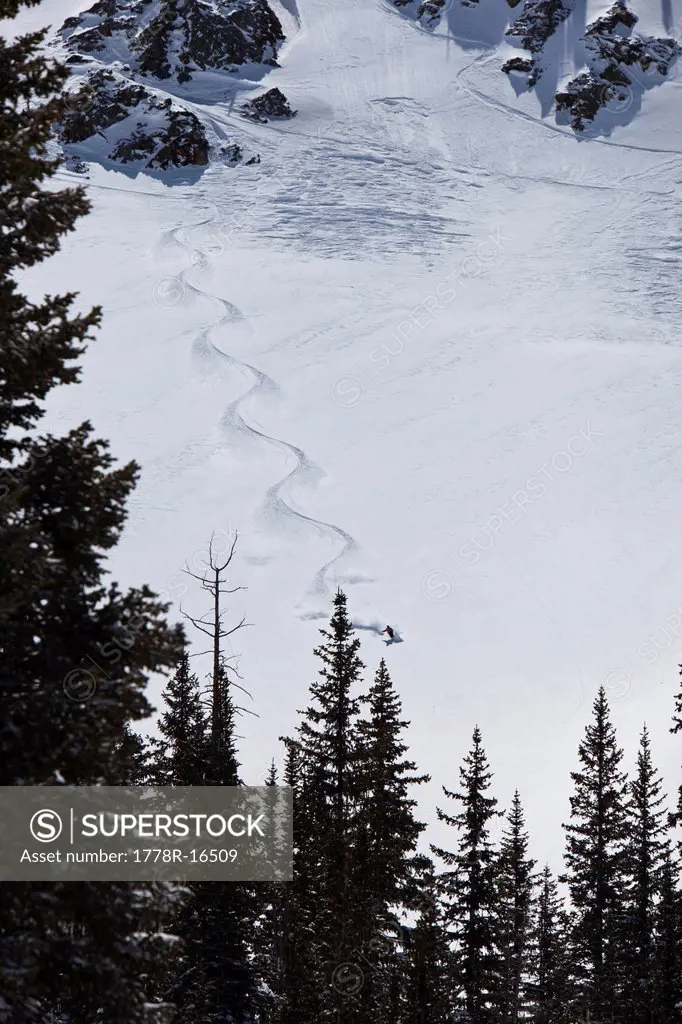 Male skier charges untracked powder on a sunny day in Utah.