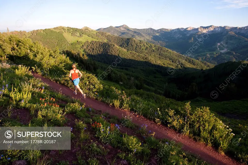 A woman trail running on the crest trail. Big Cottonwood Canyon, Utah