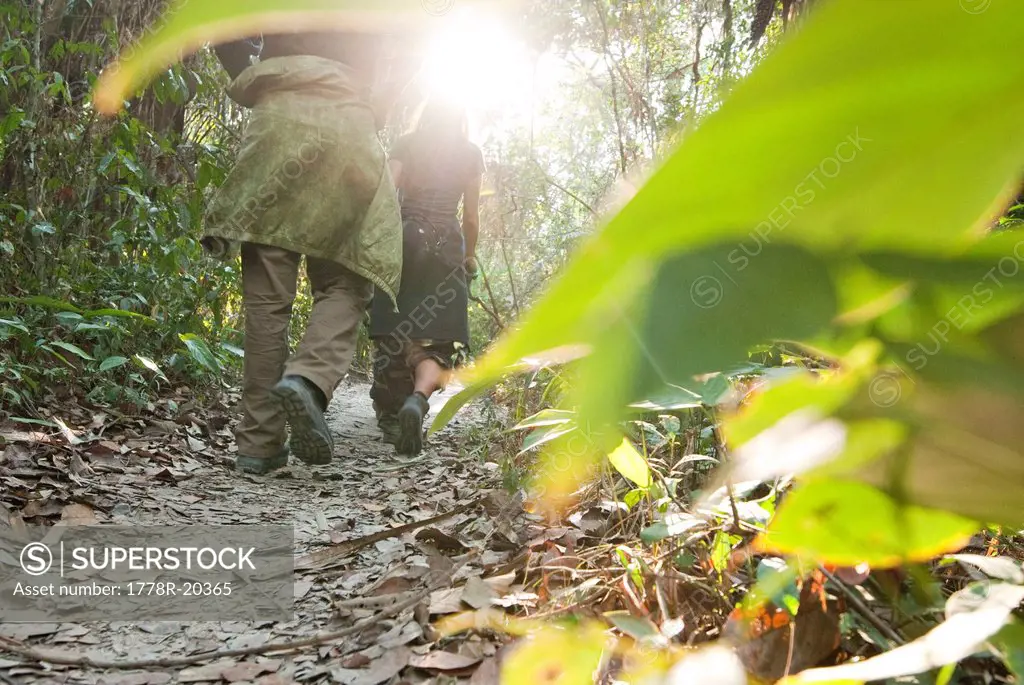 A man and woman walk through the amazon rainforest during the mid morning.