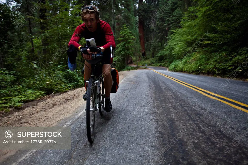 A male cyclist climbs his way up the Generals Highway while riding through Sequoia National Park, California.