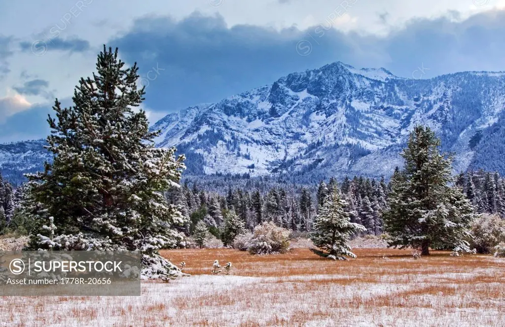 Snow from the first winter storm of the year blankets Kiva Meadow and Mt. Tallac in Lake Tahoe, CA.