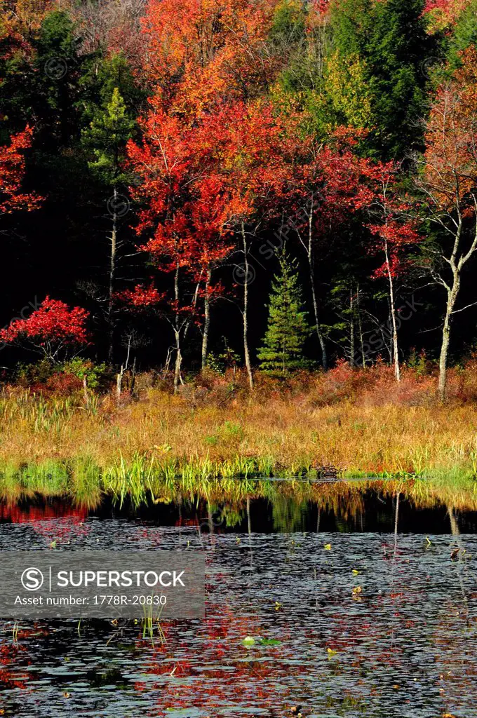 Pennsylvania fall colors