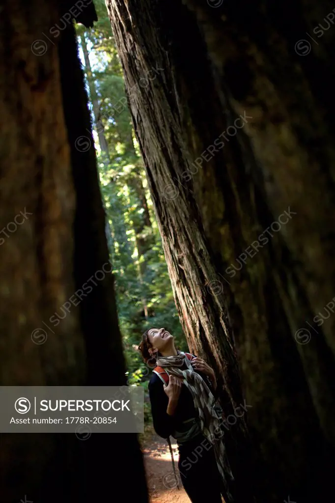 A young woman looks up at towering coast redwoods Sequoia sempervirens at Prairie Creek Redwoods State Park in Humboldt County, California