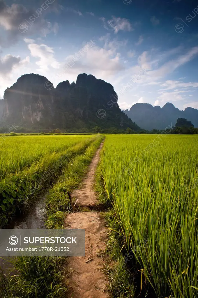 Path through rice paddies leading to mountains. Vang Vieng, Laos, Asia.