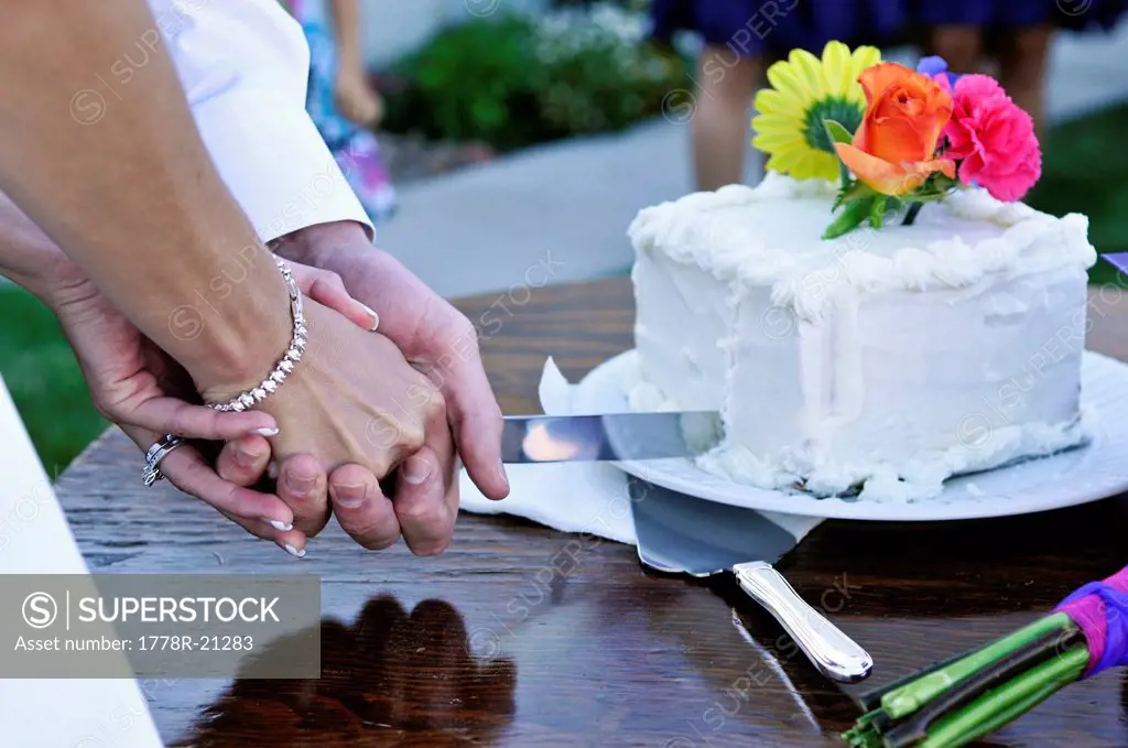 A newly wed couple cuts their cake together in Dayton, Nevada.