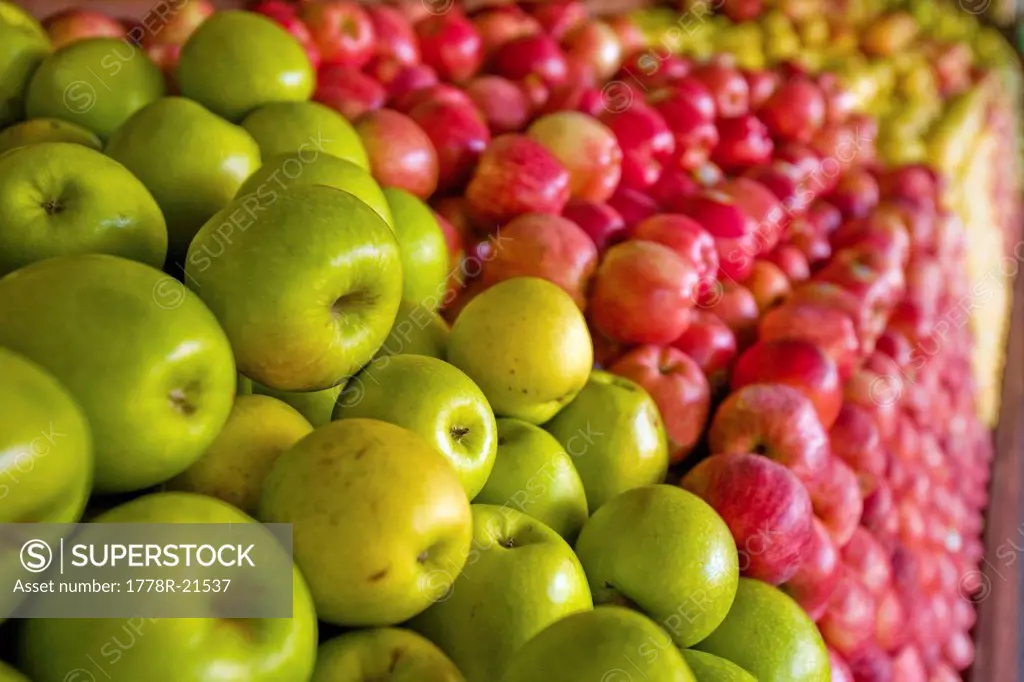 Red, green, yellow, apples lay in a pile at a fruit stand in Maryland, USA.